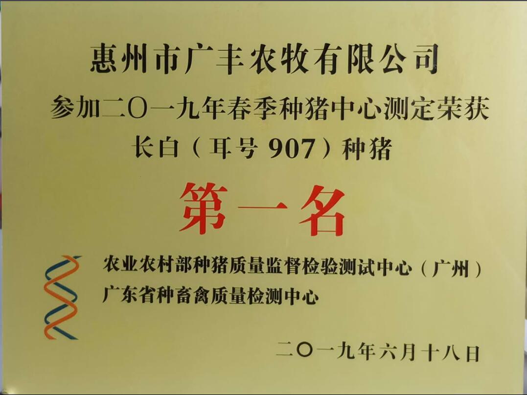 惠州市广丰农牧有限公司 大白、长白种猪包揽种猪性能测定一等奖