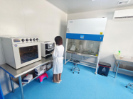 以“技改”为引擎，发展新质生产力