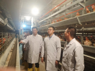 集团安全生产联合检查组深入生产一线督导检查生产安全